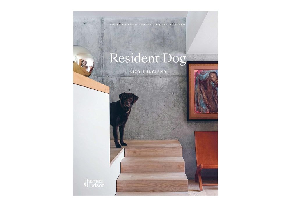 Coffee Table Books |  Resident Dog Volume 1 Coffee Table Books Coffee Table Books