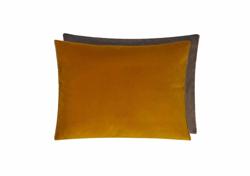 Cushions |  Cassia Saffron Hazel Velvet Cushion Cushions Cushions